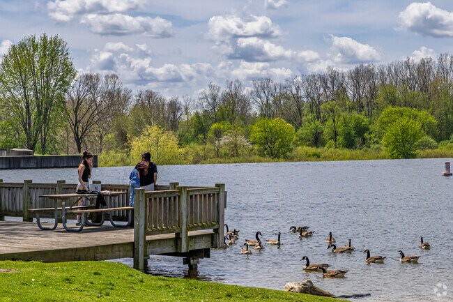 Visitors to Stepping Stones Falls come from across Flint to feed the ducks and geese.