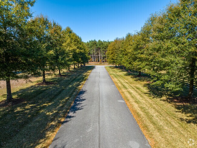 Many Colfax streets offer a peaceful drive under a canopy of mature trees.