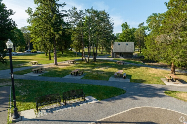Families can enjoy a picnic at Elm Park in the Salisbury Street neighborhood.