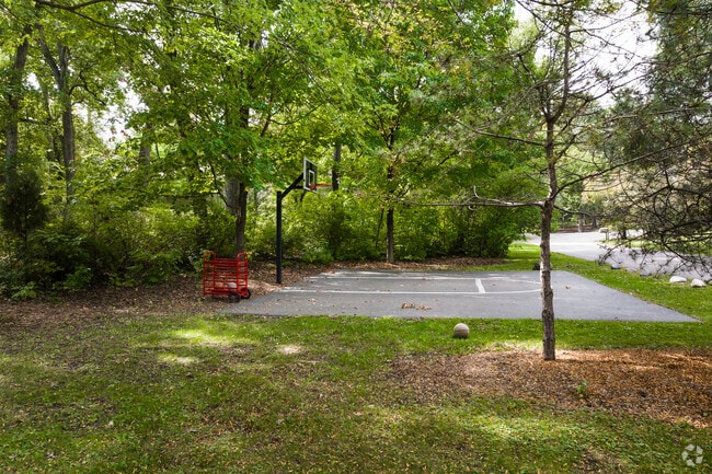 Murray Park features a half-sized basketball court in Tower Lake Park.