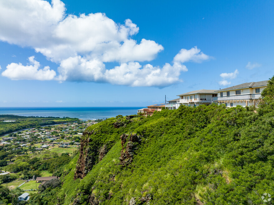 CP_Waimea_1009869_P1_v1_VY_021825