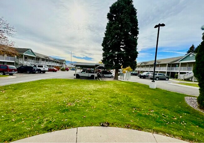 1821 Wyoming St unit 8, Missoula, MT 59801 - photo 6