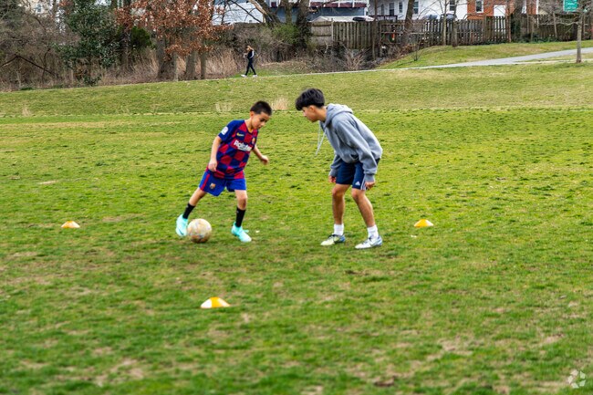 Soccer games foster community spirit in Silver Spring Park.