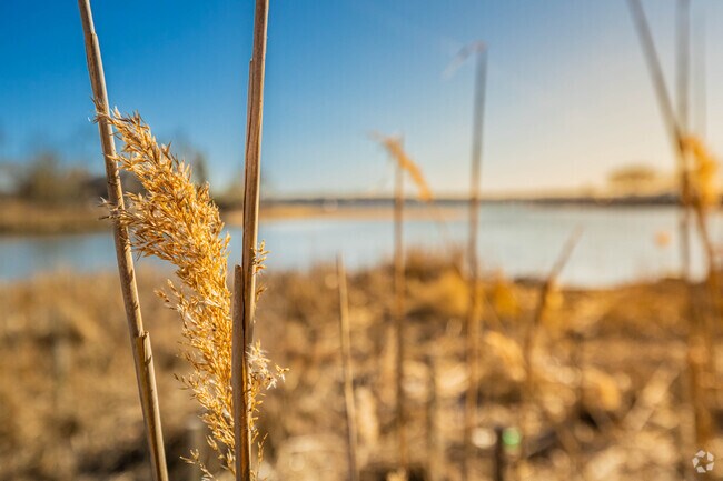 Take a relaxing walk at Manorhaven Preserve.