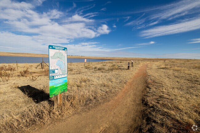 Bluestem Prairie Open Space offers 646 acres of prairie grassland and bird watching.