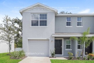 3680 Brownsville Place, Tampa, FL 33619