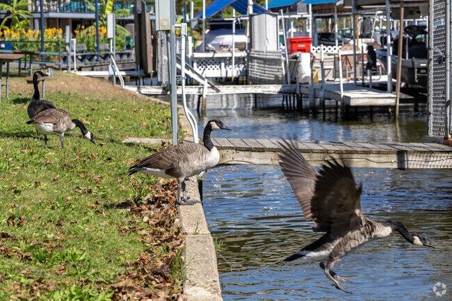 Homewood nature friends love their lakefront homes.