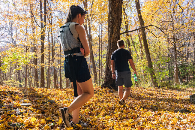 Nick's Woods is a natural area, with many wonderful views in Forest Grove.
