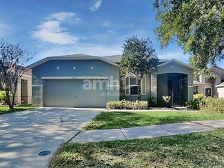 16809 Hawkglen Place, Lithia, FL 33547