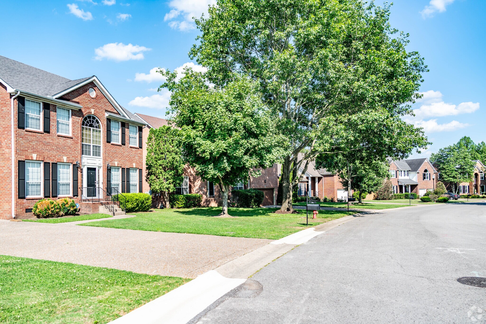 A row of homes and street view in the Traceside neighborhood.