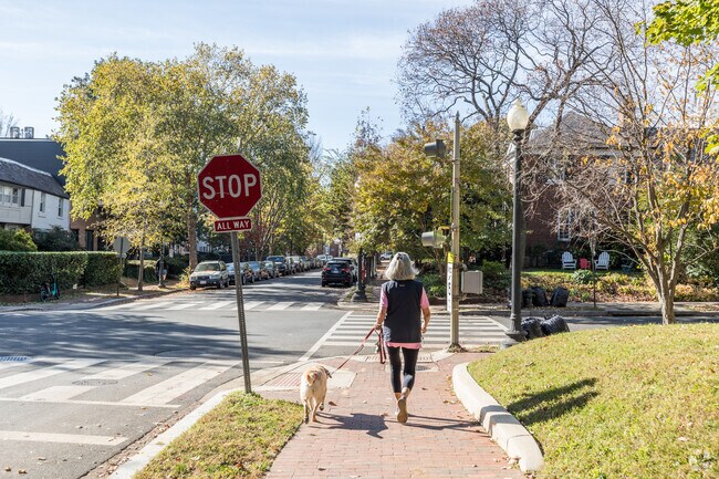 Stroll through Burleith's charm with your furry friend on our inviting sidewalks.