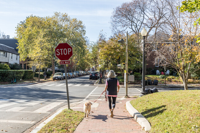 Stroll through Burleith's charm with your furry friend on our inviting sidewalks.
