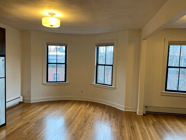 40 E Springfield St unit 1, Boston, MA 02118 - photo 2