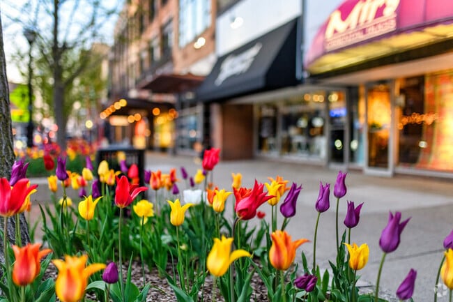 The stores and restaurants of downtown Ann Arbor are just a few miles away.