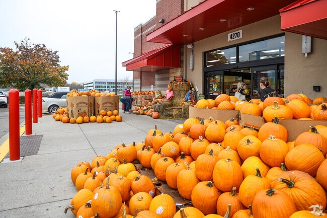 Trader Joe's near Dewey Hill is really proud of how many pumpkins they provide to the area.