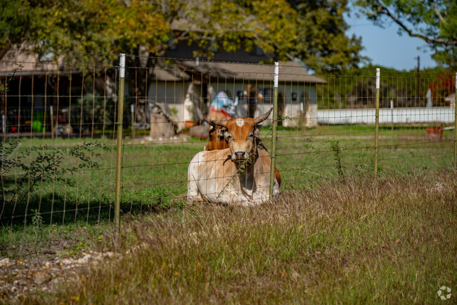 Helotes features plenty of farmland for residents and visitors to enjoy.