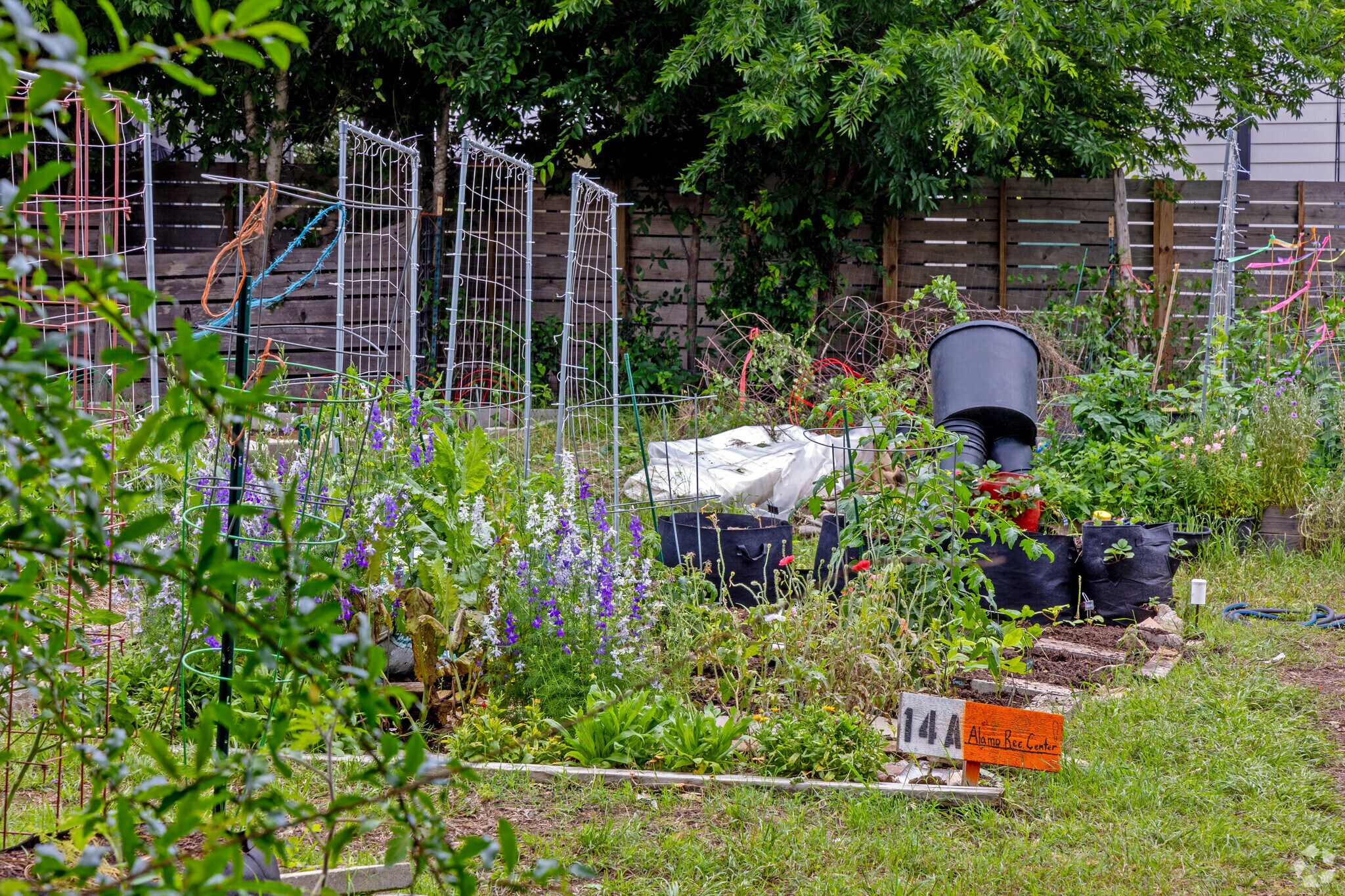 Neighbors enjoy planting flowers and vegetables in the Alamo Community Garden in Blackland.
