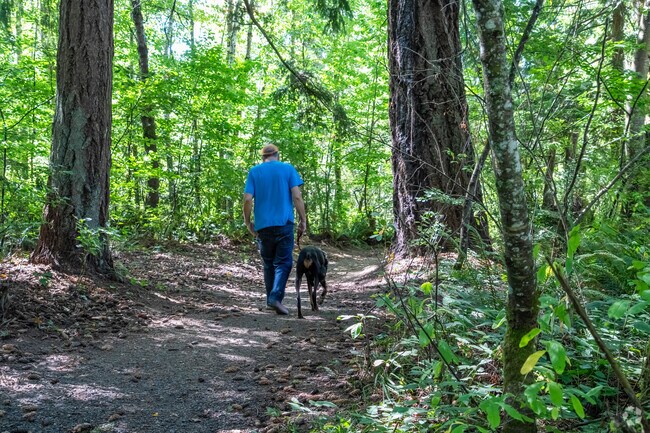 Mission Creek Nature Park in North East Olympia features many different trails