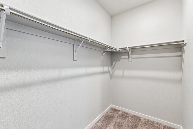 4466 Trader St, Timnath, CO 80547 - photo 6