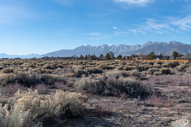 A sweeping desert landscape frames the Sierra Nevada Mountains near Johnson Lane.