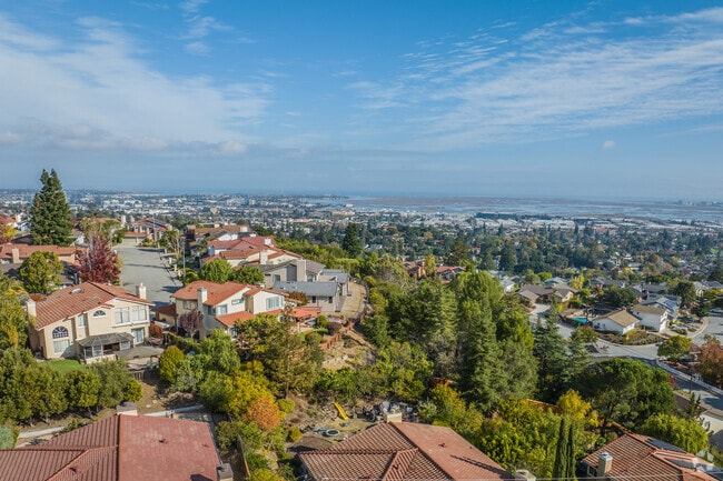 Spectacular views of the bay can be seen from houses in Alder Manor.