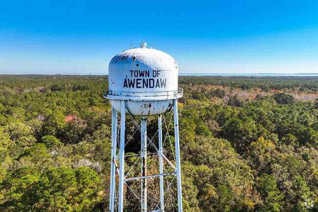 The Awendaw water tower sits at the town hall and overlooks the forrest and sound.
