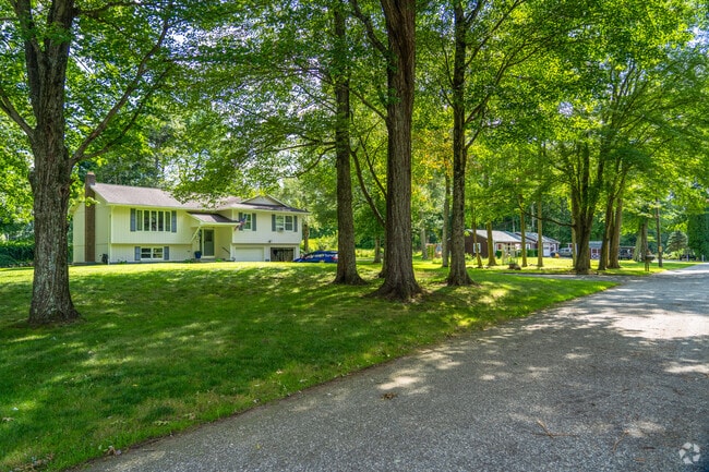 A row of raised ranch-style homes in Franklin sits among tall trees providing shade.