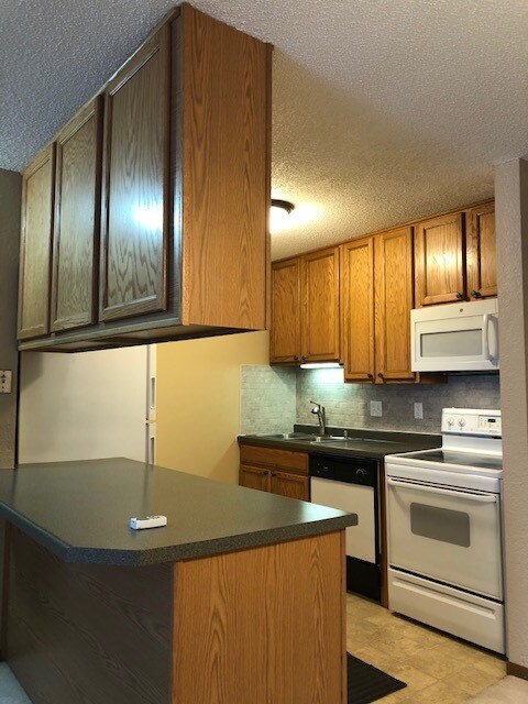 Tower Place Condominiums unit 310, Prior Lake, MN 55372 - photo 5