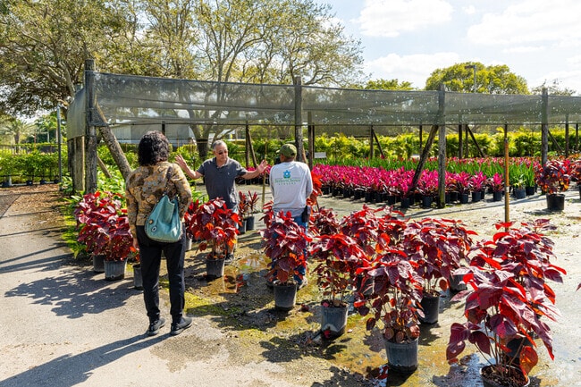 Finding the perfect plants for your home is easy at Southwest Ranches.