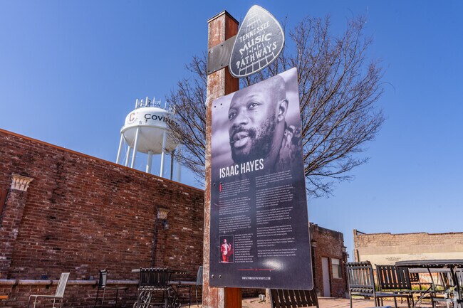 Isaac Hayes was born in Covington in 1942.