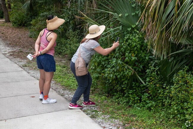 Visitors to Manatee Park can find interesting plants and animals while exploring the park.