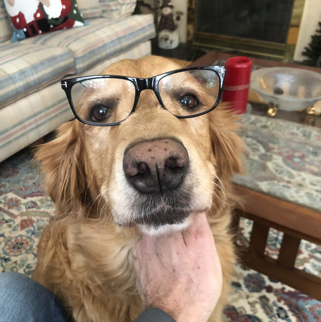 Agent Photo