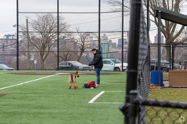 James J Braddock park in North Bergen is a great place for dogs with its dog park and greenery.