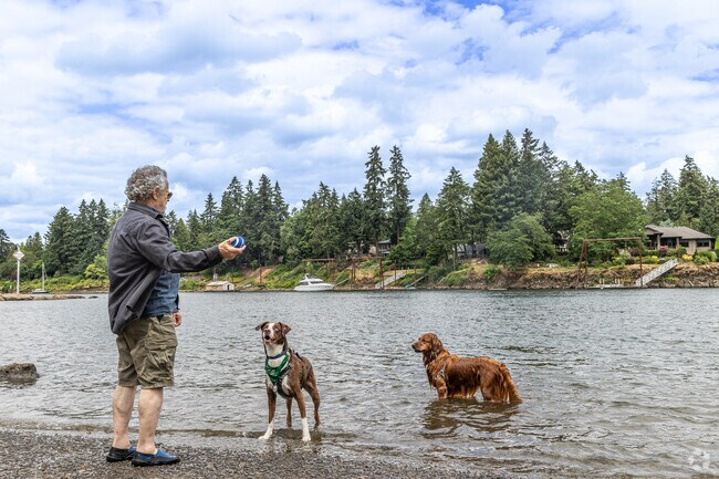 Dogs in McVey-South Shore enjoy playing fetch in the Willamette river at George Rogers park.