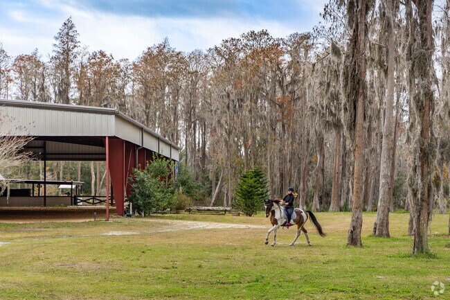 You can find a great horse riding facility near Calusa.