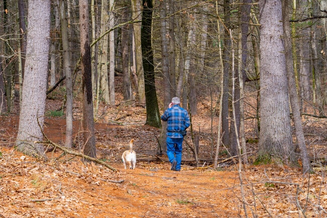 Bring your dog for their favorite walk through the Great Brook Farm State Park in Carlisle.