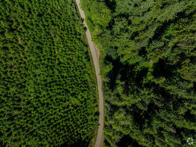 The trails pass by waterfall scenery and panoramic vistas in the Capital State Forest.
