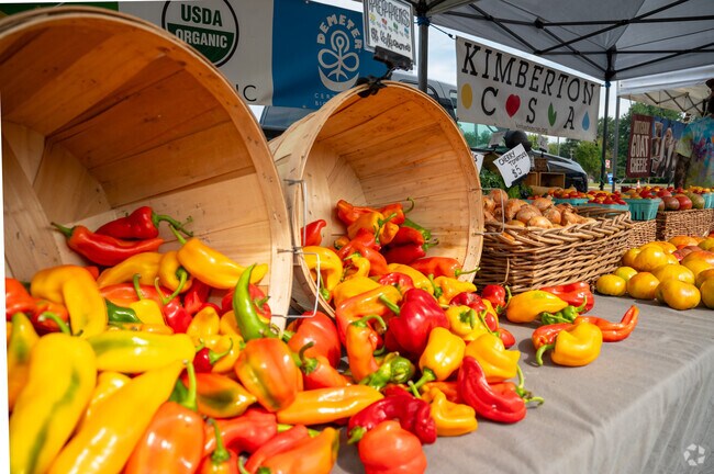 The vibrant colors of the Farmers Market in Upper Gwynedd Township are a sight to see.