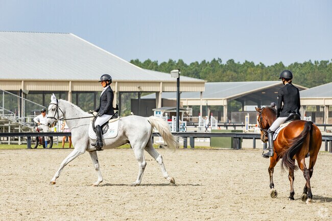 Catch the horse competitions at Florida Horse Park in Ocala.