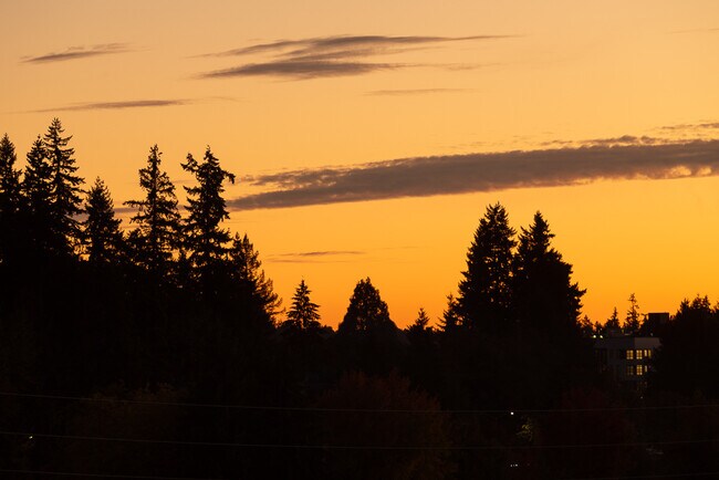 13211 NE 127th Way unit C, Kirkland, WA 98034 - photo 4