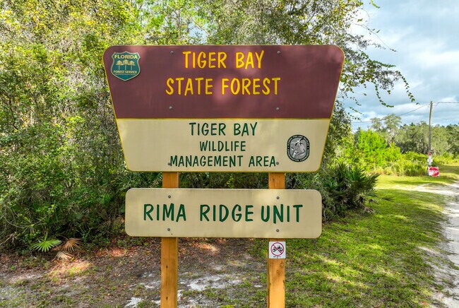 Greater Daytona Tiger Bay State Forest