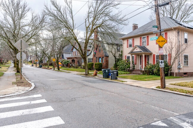 A serene avenue flanked by colonial residences within the Mount Pleasant community.