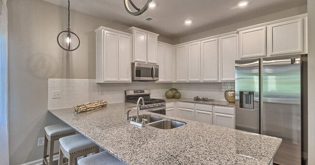 108 Coppersmith Dr unit 38487005, Lexington, SC 29073 - photo 5