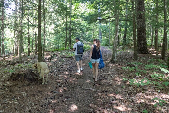 There are plenty of hiking trails in Pleasant Point Park.