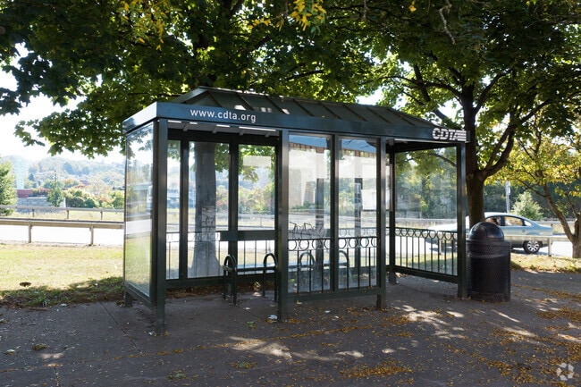 There are buses that run throughout the local area getting you around town and into the capital.