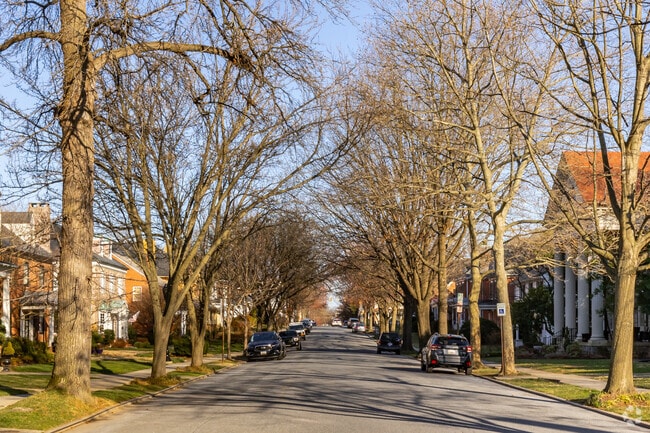 Tall trees line most of the streets in the Baker Park neighborhood.