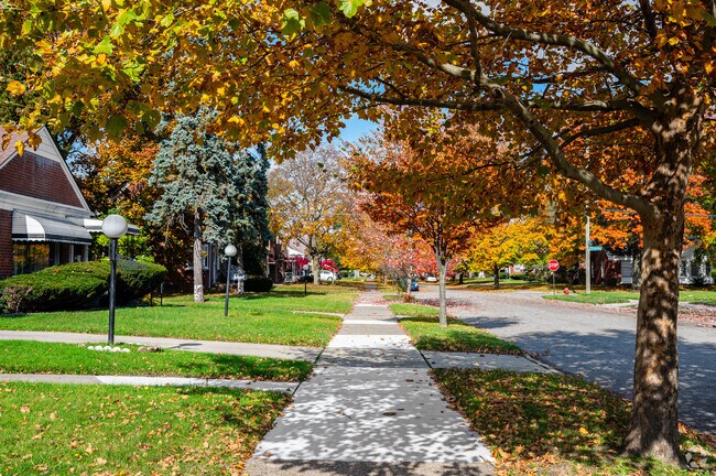 Fall colors are a sight to behold on the quiet streets of Blackstone Park.