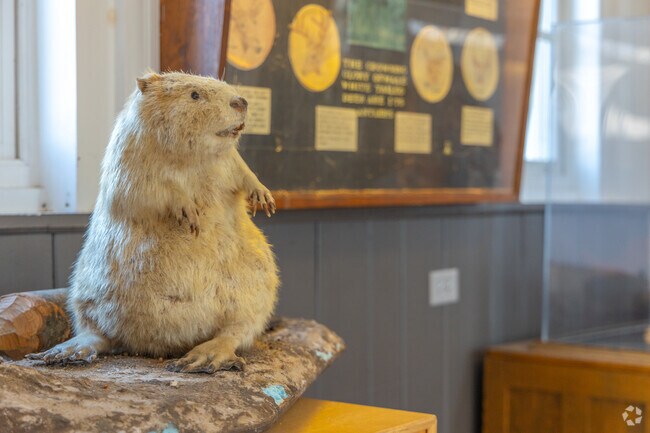 Little Red Schoolhouse contains a small museum for Palos Park West residents to enjoy.