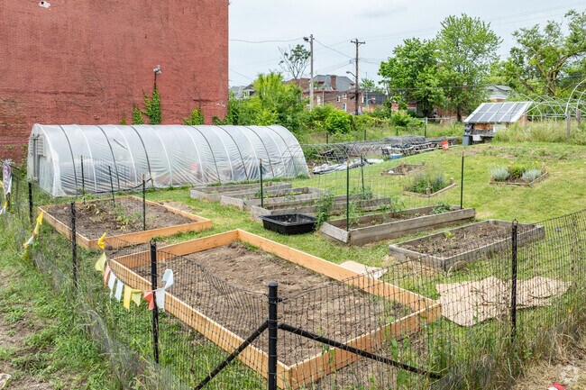 Junior Green Corps Garden is a great place for kids to learn about growing in Homewood North.