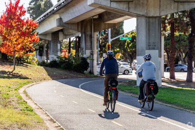Residents can escape the city and enjoy the scenery at Ohlone Greenway Exercise Yard in Albany.